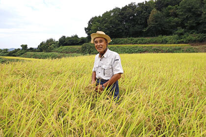 健菜米 / 収穫の季節がやってきた