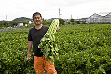 風の島 沖縄に適地あり 健菜セロリは冬が旬