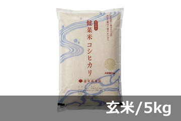 《頒布会》健菜米コシヒカリ 玄米／5キロ